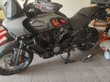 Panamerica 1250 special