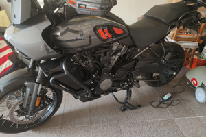 Panamerica 1250 special