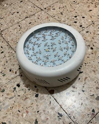 Lampada a luce led