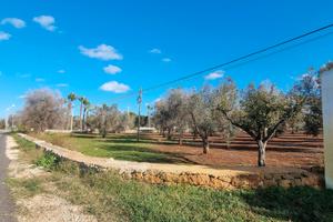 Terreno agricolo San Vito Norm.10822m2 edificabile