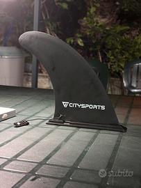 Pinna Sup citysports