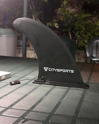 Pinna Sup citysports