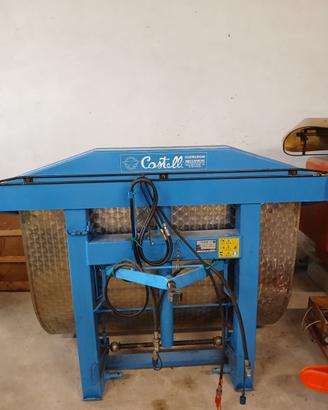 Muletto uva