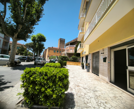 Locale commerciale Pomezia centro