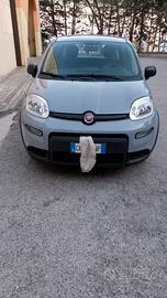 Panda GPL pari al nuovo