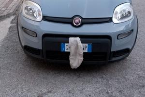 Panda GPL pari al nuovo