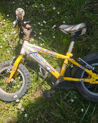 bicicletta da bambino 10 pollici