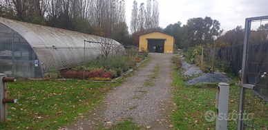 Azienda agricola con attività accessorie