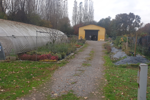 Azienda agricola con attività accessorie