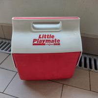 borsa frigo rigida 