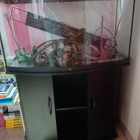 acquario juwell 180 vision