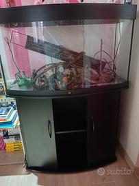 acquario juwell 180 vision