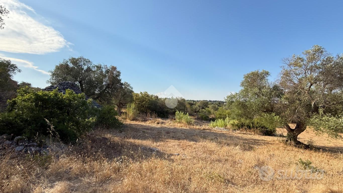 RUSTICO A CEGLIE MESSAPICA - Vista 4