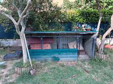 Recinto box esterno per  cani