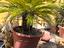 Immagine 3