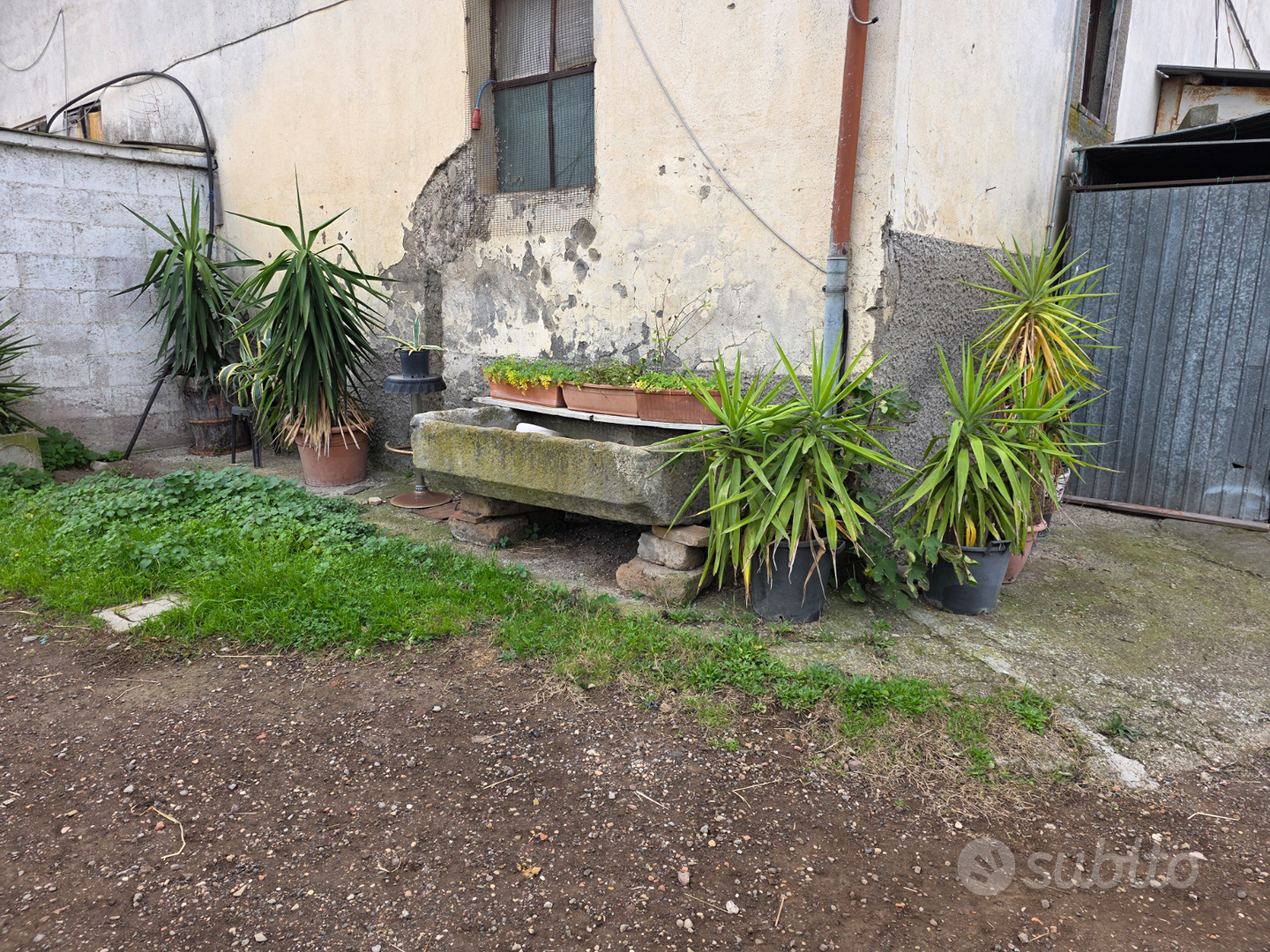 Porzione di casale con terreno - Vista 6