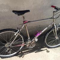 Mountainbike hazzard