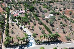 Villa immersa nel verde vicina al mare