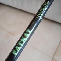 Canna Fatkat Speciment DDFKS200 Siluro