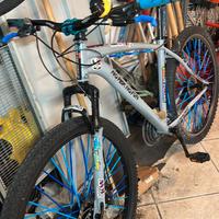 Bicicletta Mtb