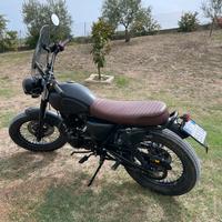 Mutt Mongrel 250