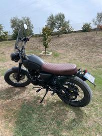 Mutt Mongrel 250