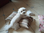 Immagine 2
