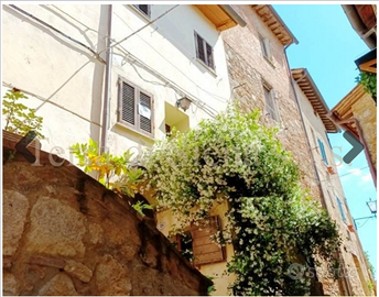 Casetta nel borgo di Cetona (SI)