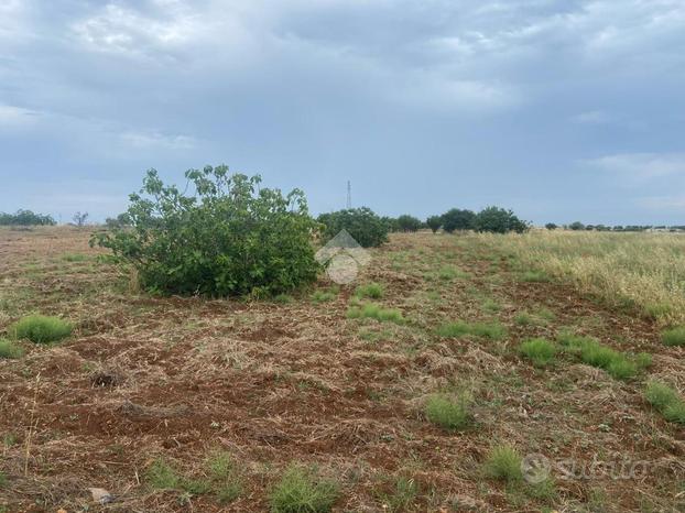 TER. RESIDENZIALE A CAROVIGNO