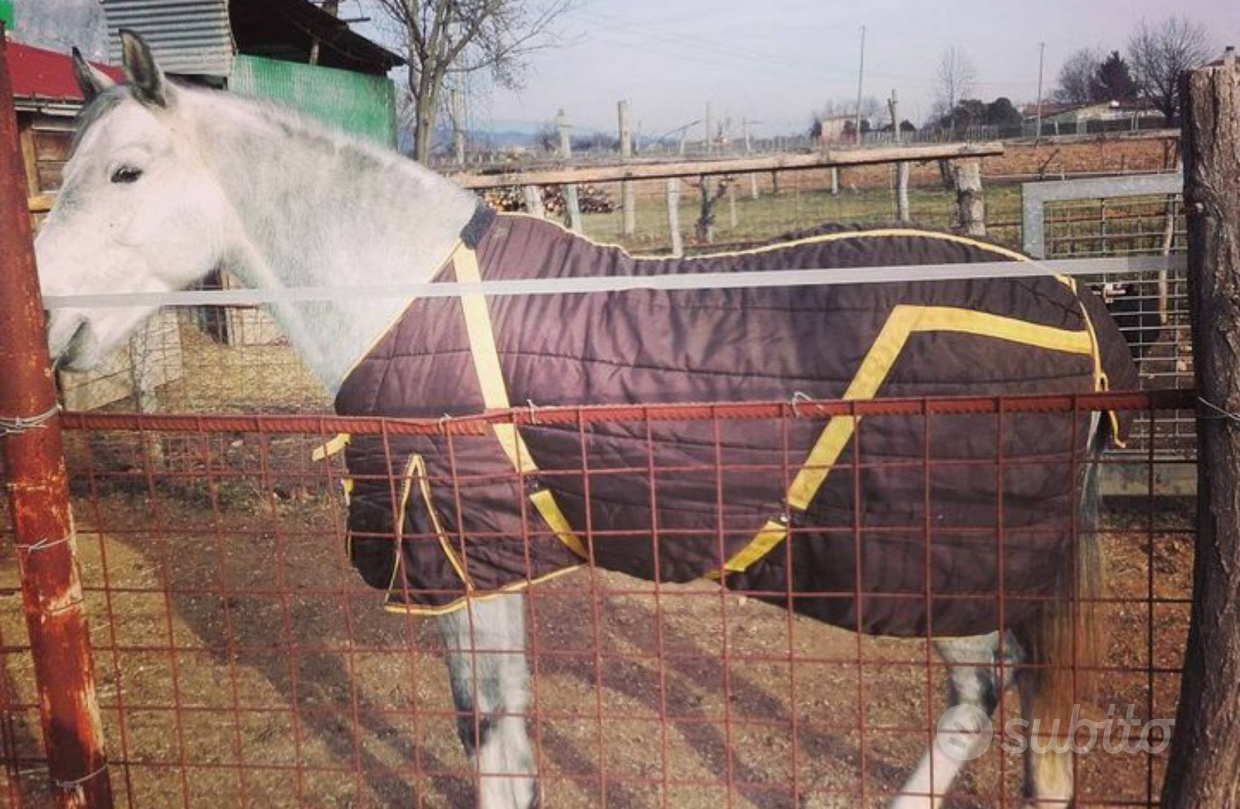 Coperta cavallo - Animali In vendita a Vicenza