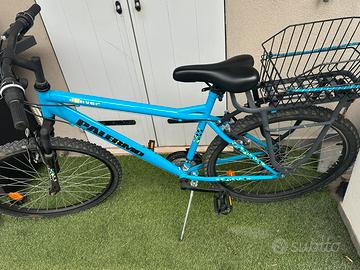 bici azzurra