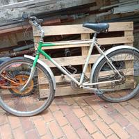 Bicicletta economica