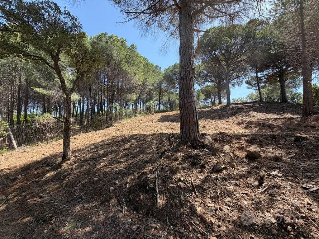 Terreno di 9250 m² a Cefalù - Altro