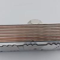 x2 scambiatori di calore a 13 piastre