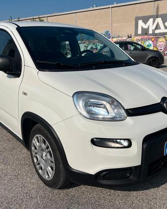 Fiat Panda 1.0 FireFly S&S Hybrid Pandina