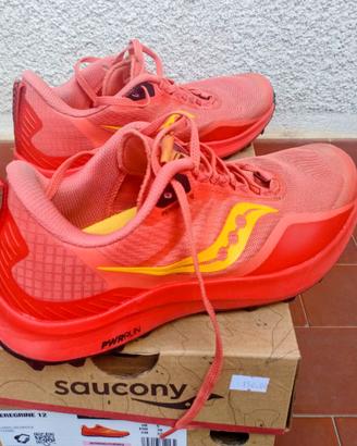 Scarpe Saucony Peregrine 12