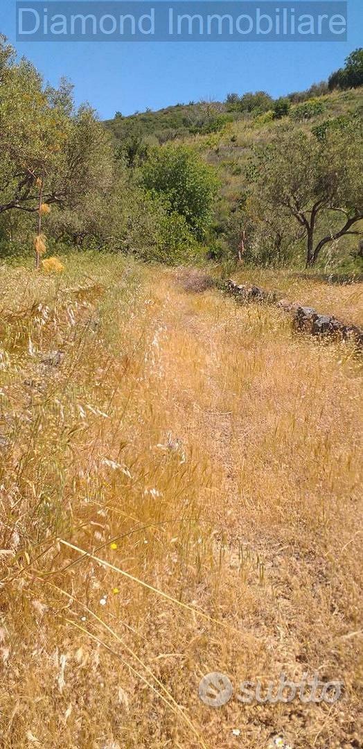 Terreno agricolo a Linguaglossa - Vista 3