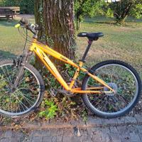 Bicicletta Bottecchia