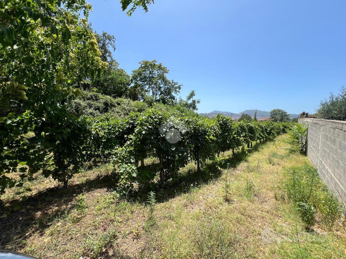 TER. AGRICOLO A MARANO DI NAPOLI - Vista 5