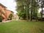 Immagine 7
