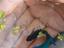 Immagine 4
