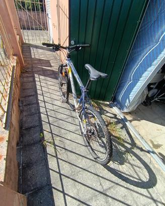 Bicicletta