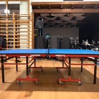 Tavolo da ping pong stag professionale