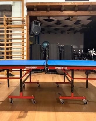 Tavolo da ping pong stag professionale