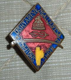 Distintivo Campagna d'Albania Lorioli originale