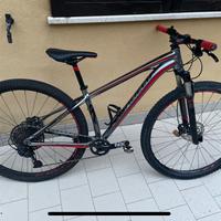 Mtb Specialized 29 alluminio leggero SRAM