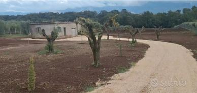 Terreno con casa rurale