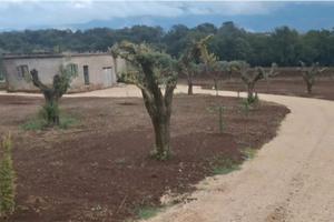 Terreno con casa rurale