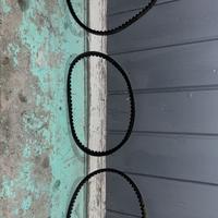 Cinghia di trasmissione