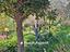 Immagine 26